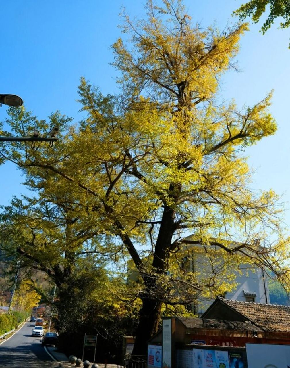 浙江之美七:北溪村 浙江宁波余姚四明山镇北溪村位于四明山腹地,属