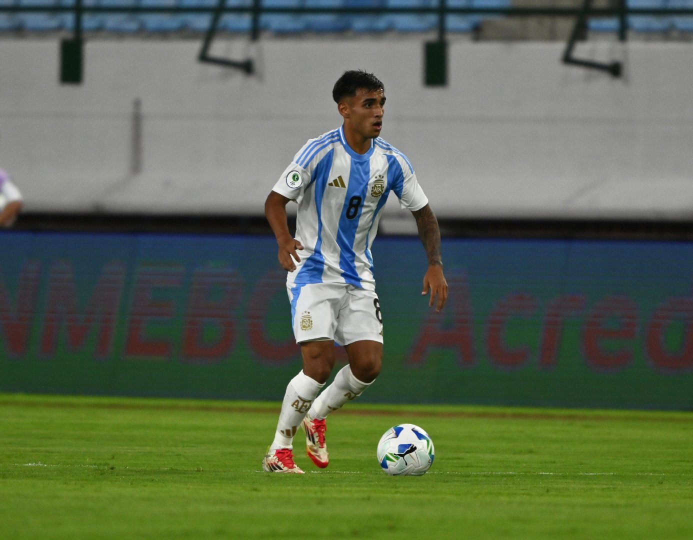 阿根廷选手在拳击比赛中获得胜利 阿根廷选手在拳击比赛中获得胜利