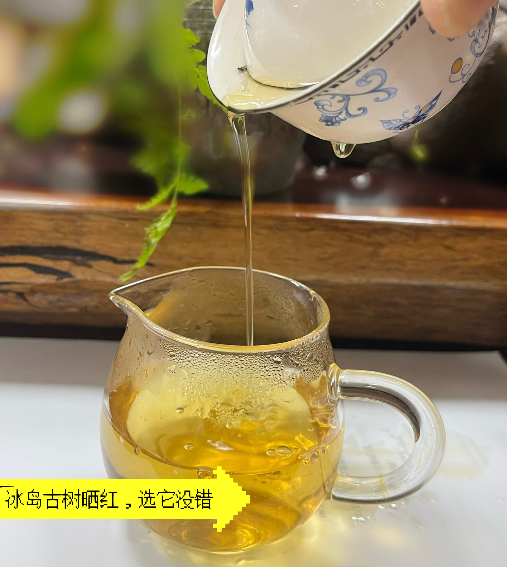 栾氏冰岛红茶图片