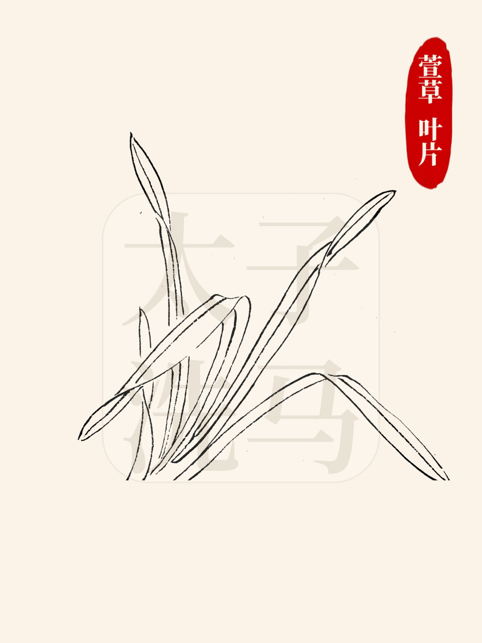 国画入门|95常见叶子白描/线描合集97第1弹 98今天分享的是国画