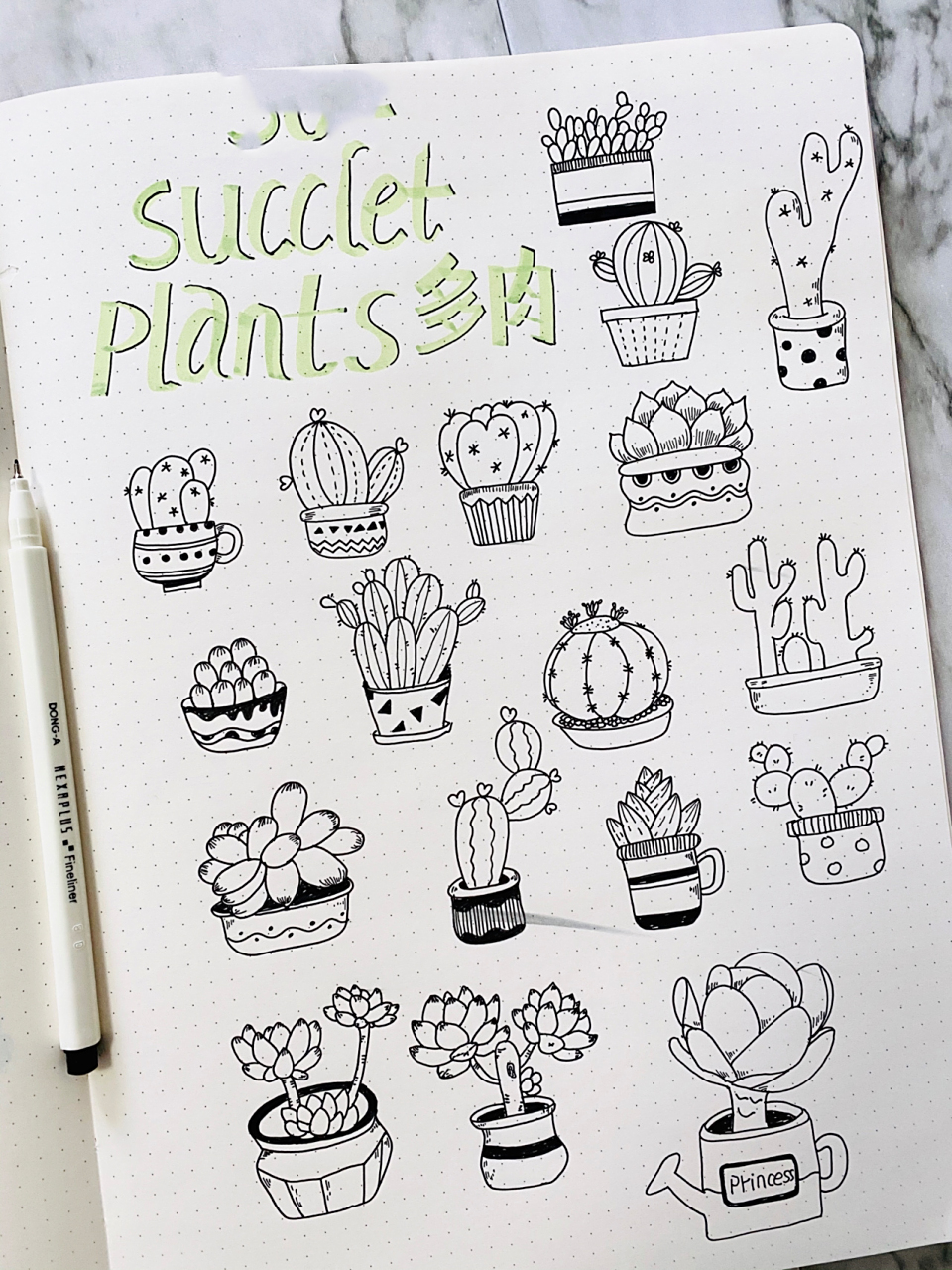 48/100 一组多肉仙人掌91|简笔画手帐素材 春天要到了,画了一组仙人