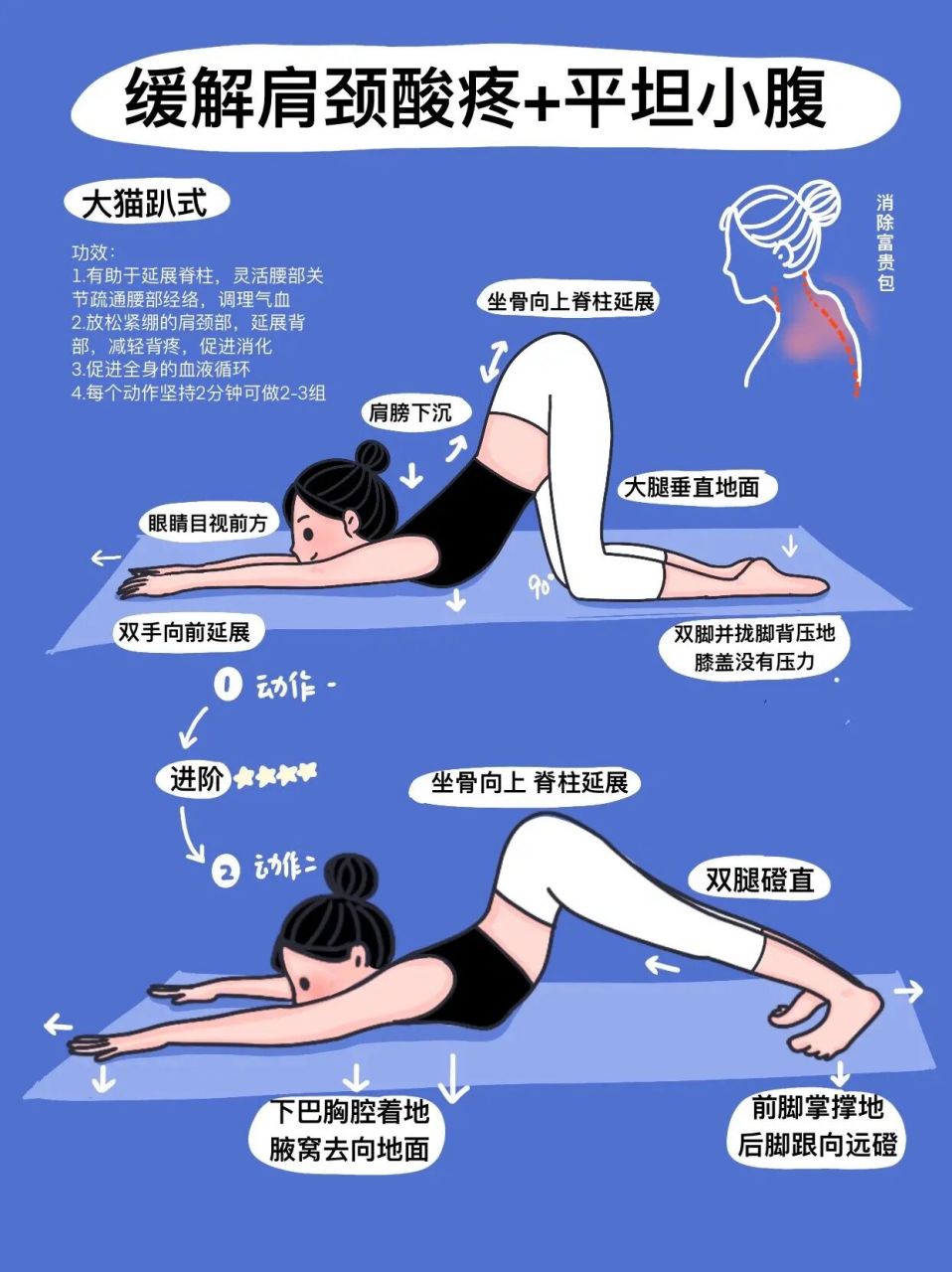 每天分享一个瑜伽体式|大猫趴式