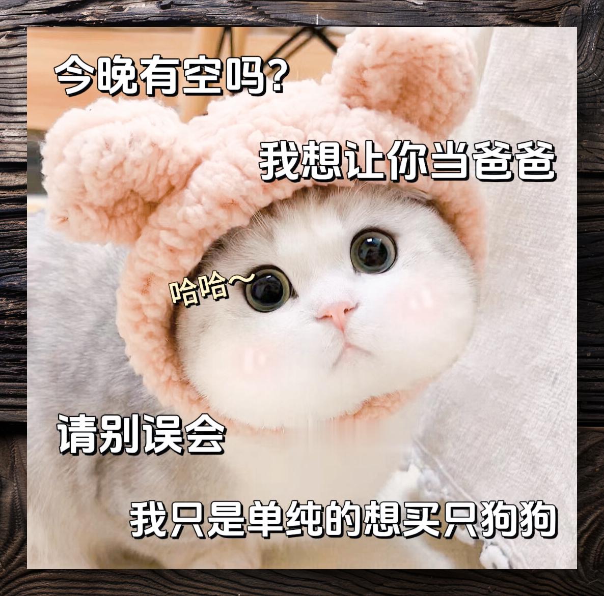 撩男友专属表情包