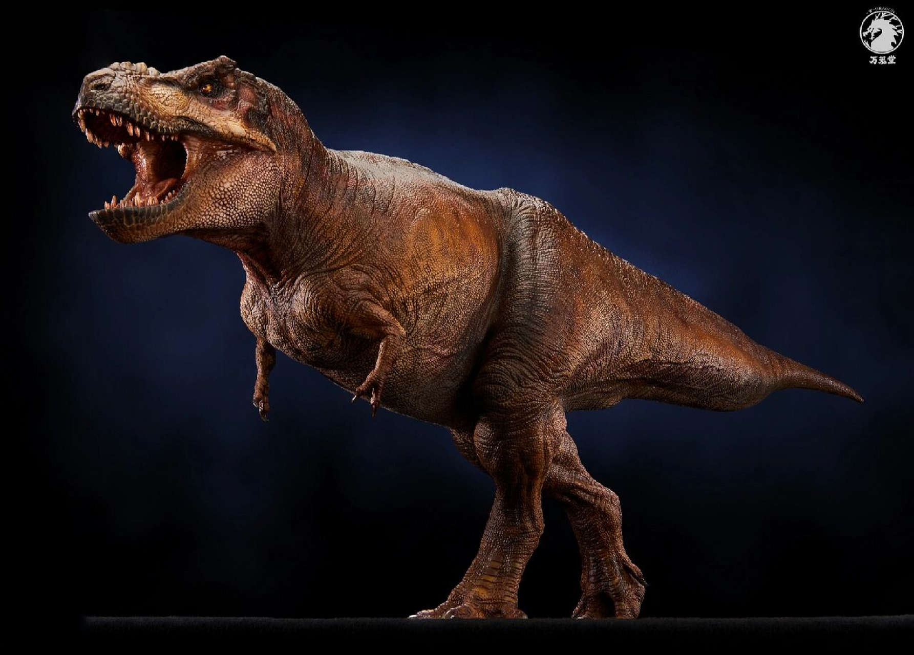 万茏堂科学复原霸王龙| 本人作品 本人拍摄万茏堂的新