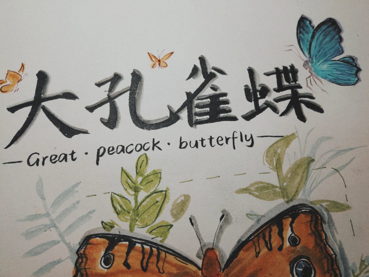 昆虫记大孔雀蝶海报制作0303