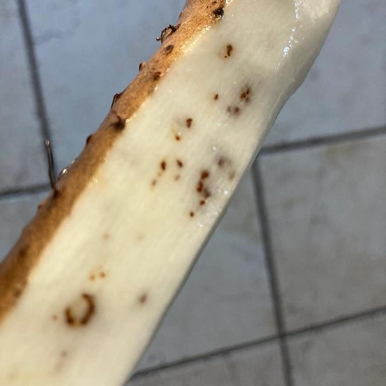 山药里面的黑点 这个还能吃吗?