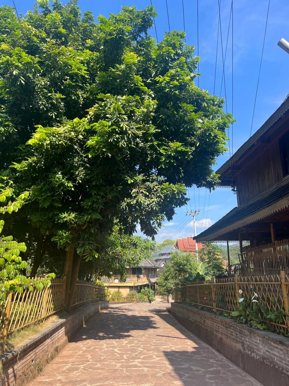 整董镇半日游 突发其想,早上十点驱车两小时来到江城特色古镇——整董