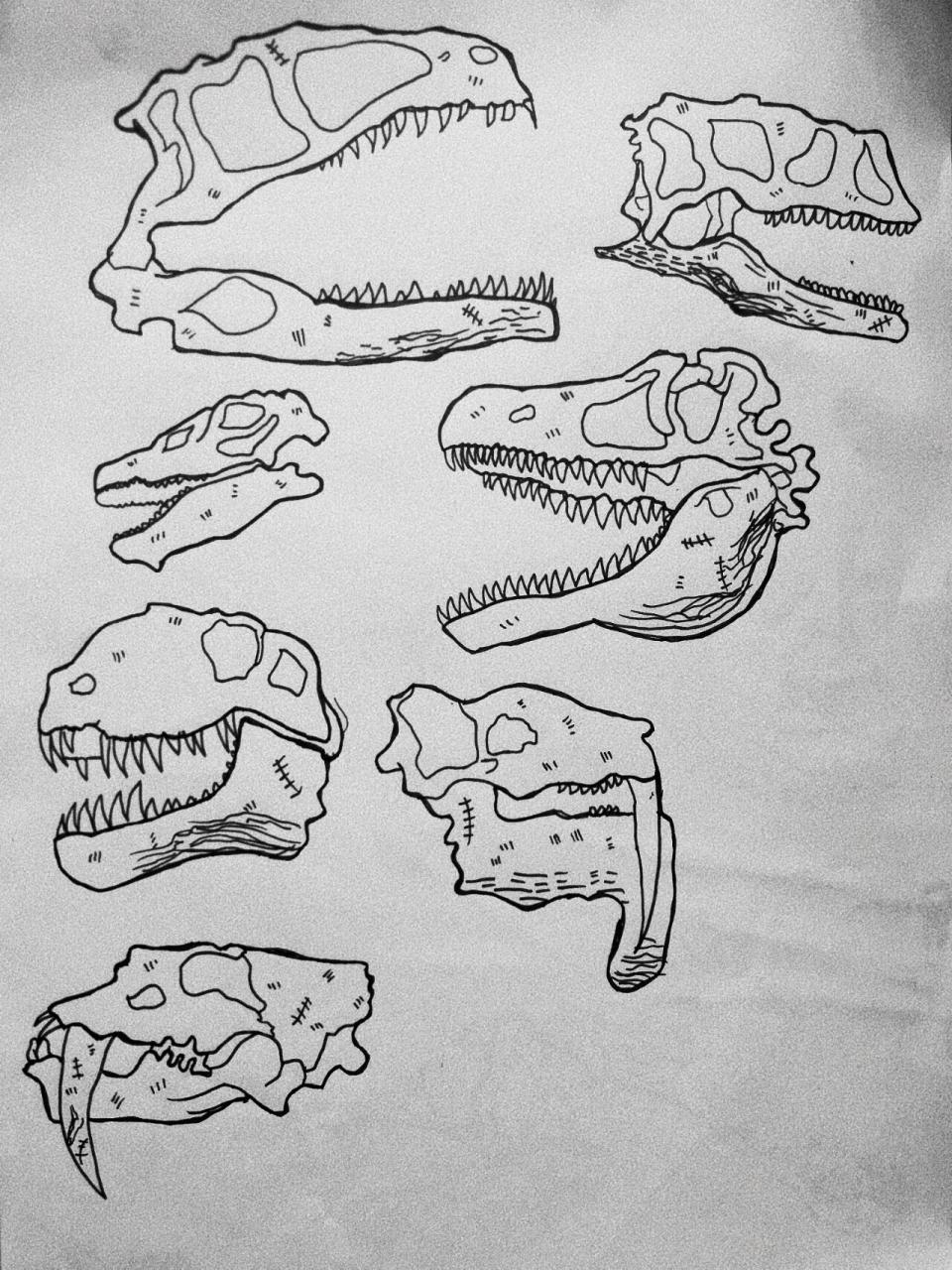 🦖速写恐龙化石(2021-9) 🦕2021年去上海自然博物馆参观,现场看到