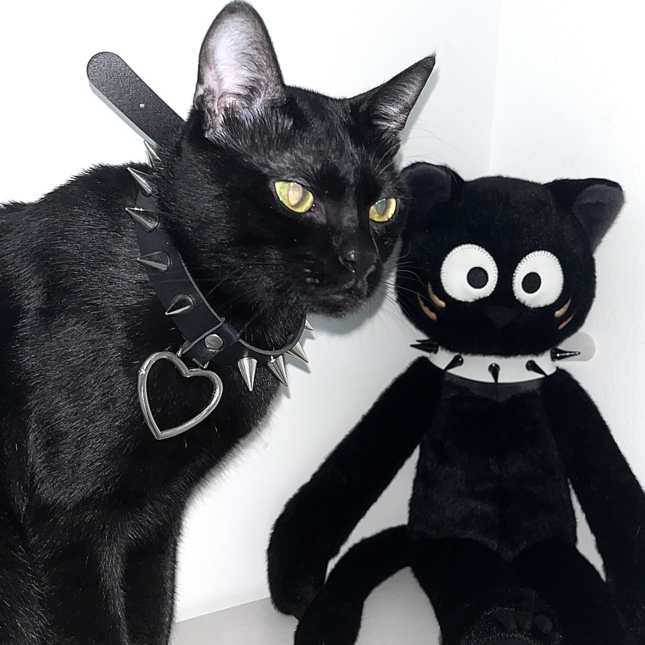 头像|壁纸|世界上的另一个我 夜猫子 除了头像 增添新项目壁纸!