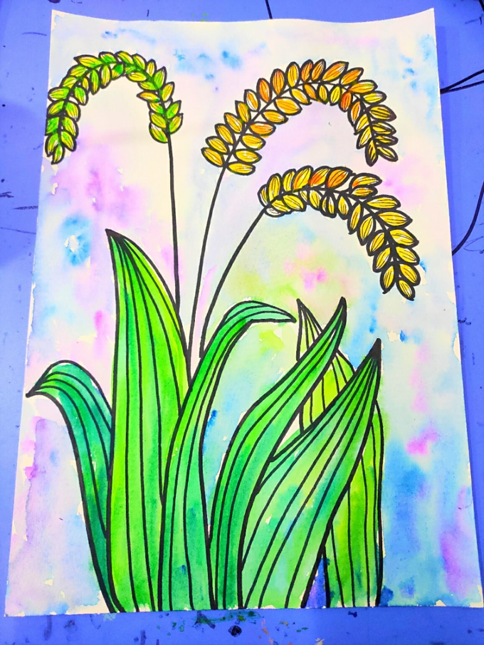 儿童画打卡no.64水稻 坚持打卡100天,每天进步一点点94