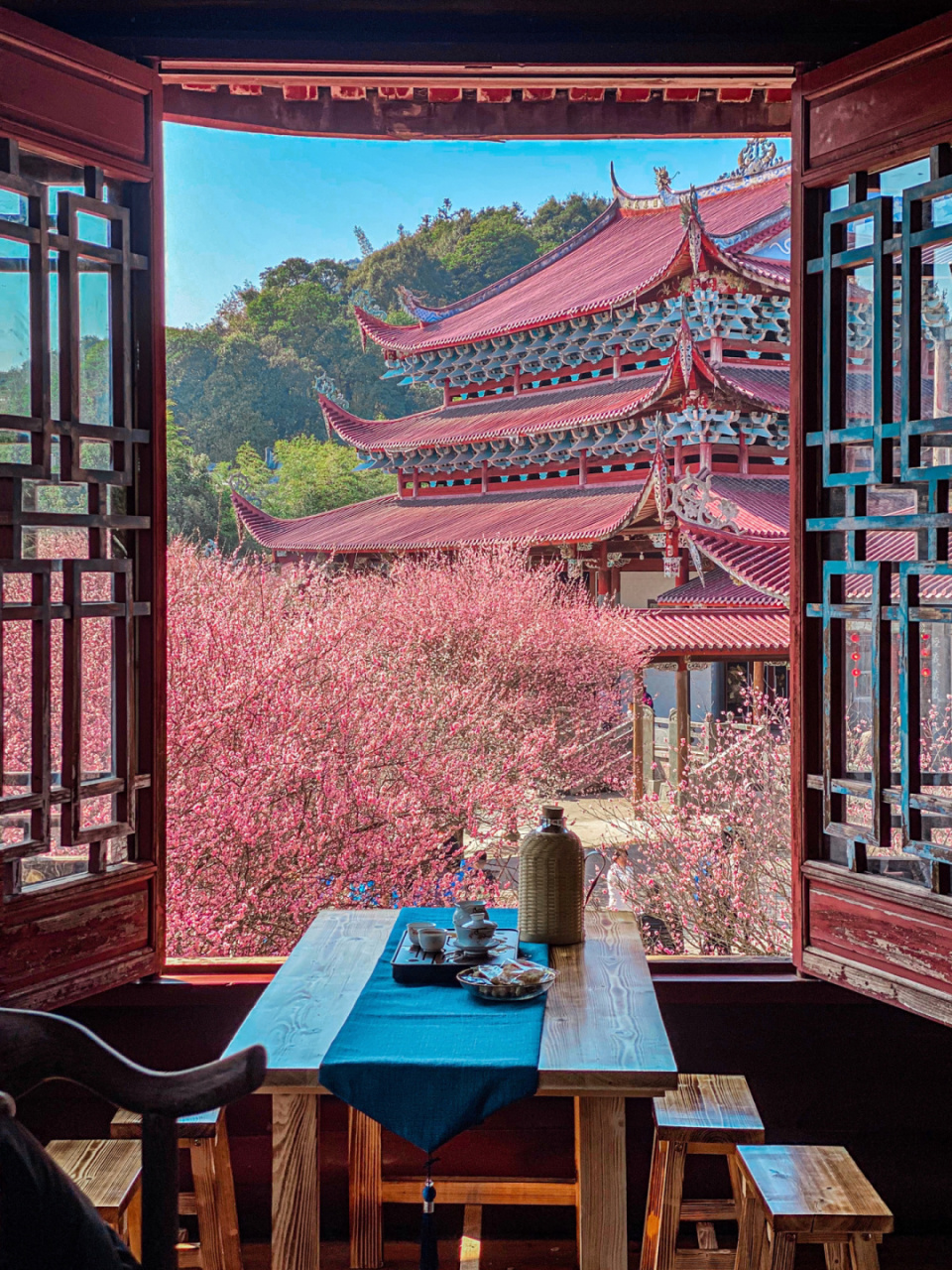 数百株梅花 遍布禅寺 真的太太太美啦!