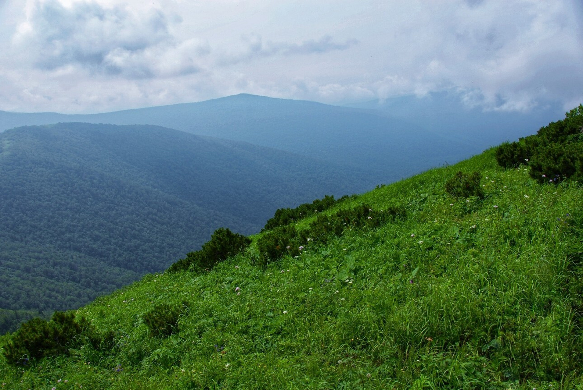 足迹93黑龙江凤凰山 凤凰山位于黑龙江省五常市,属森林生态系统类型