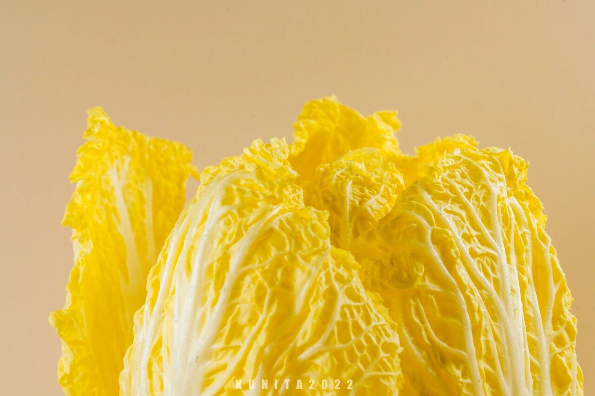 静物摄影 | 大白菜