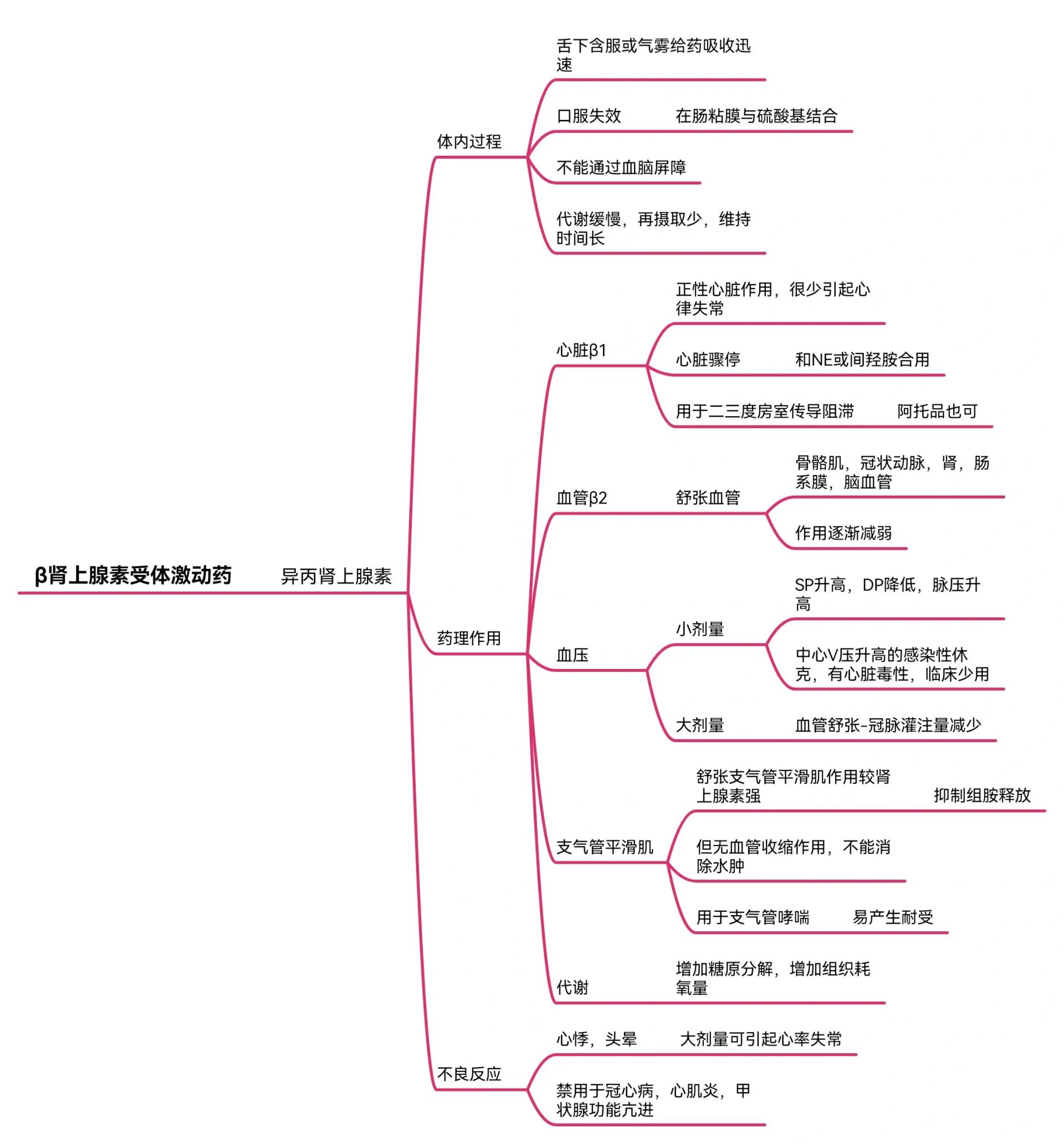 肾上腺素受体思维导图图片