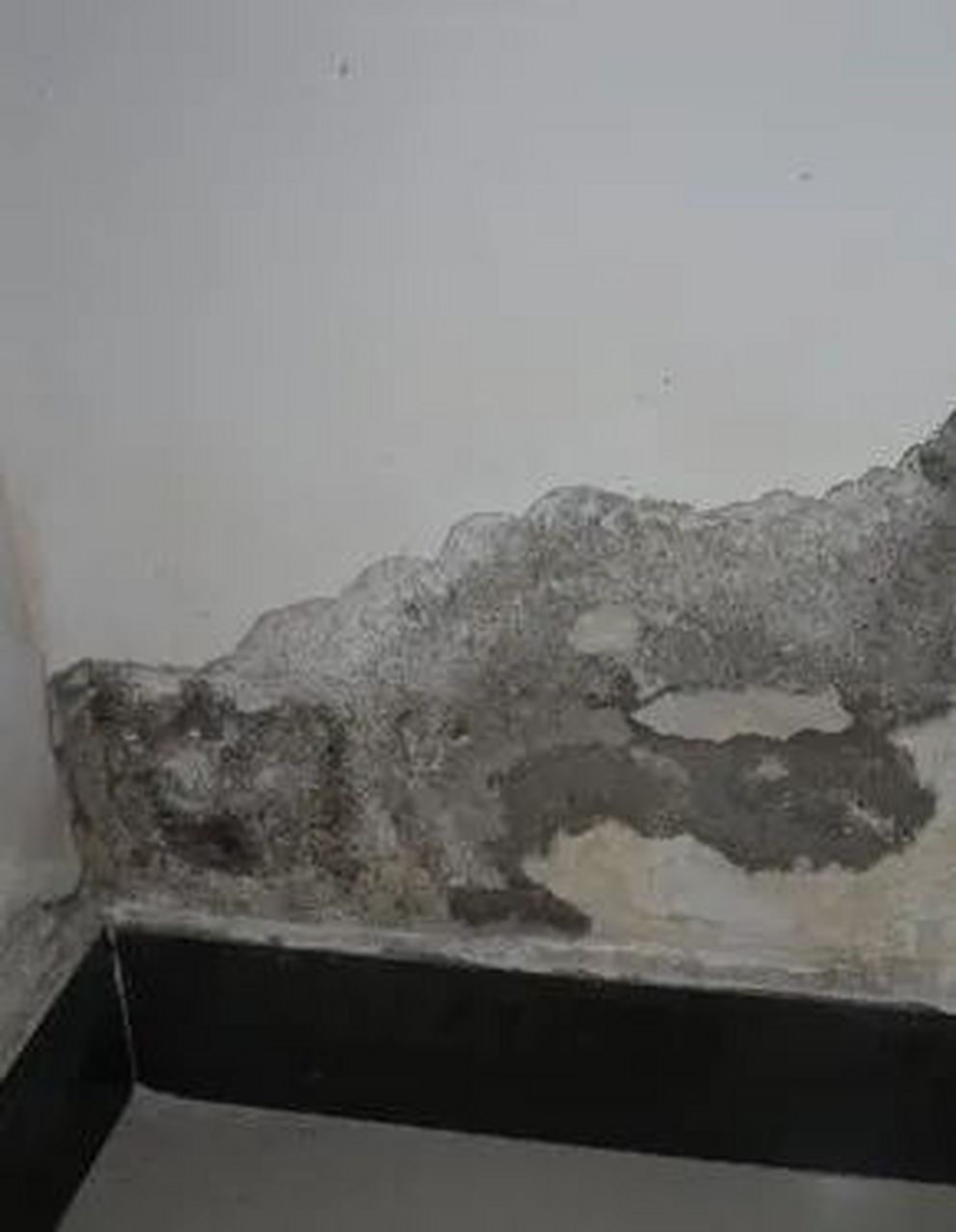 解决措施3 3 墙面反碱俗称水泥起霜.