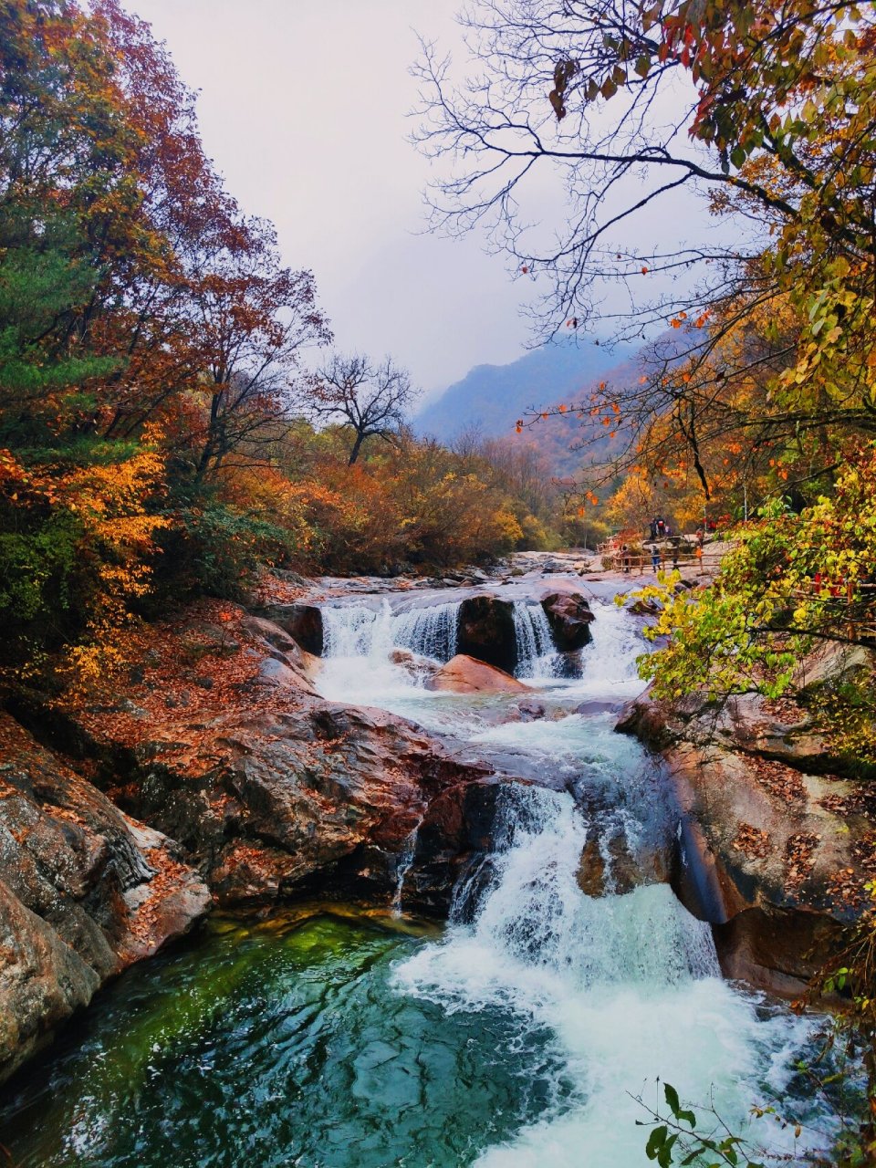 黄柏塬风景图片图片