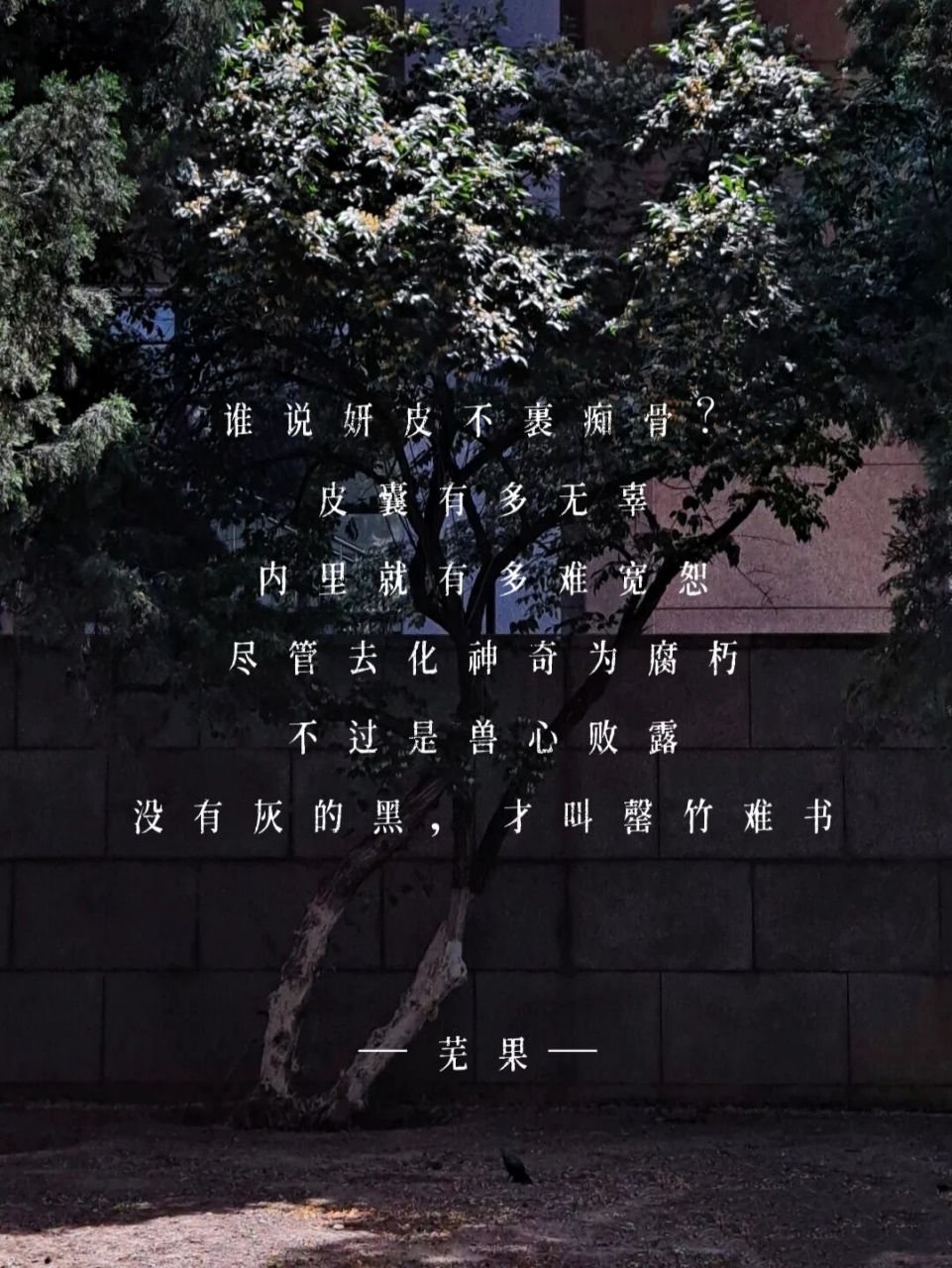 仿写|没有灰的黑,才叫罄竹难书 谁说妍皮不裹痴骨?