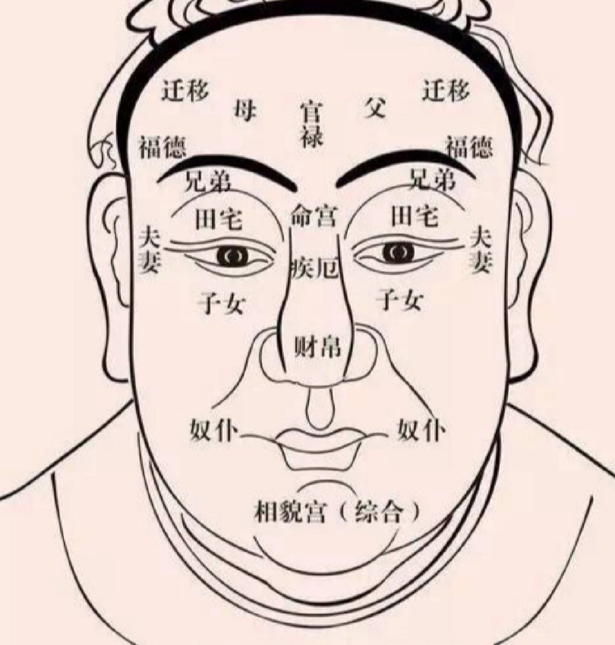 男人眉毛看相图解命运图片