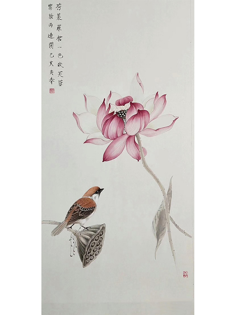 国画禅意荷花欣赏:净中生禅,画外有意 在中国,佛教,是泊来品,禅宗,却