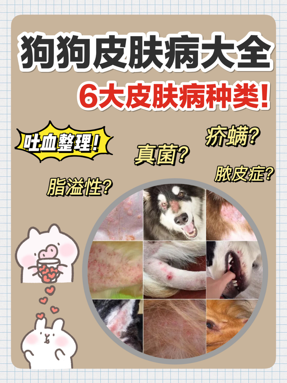 犬瘟细小啥的看之前笔记 00一般常见的狗狗皮肤病种类有: 真菌,螨虫