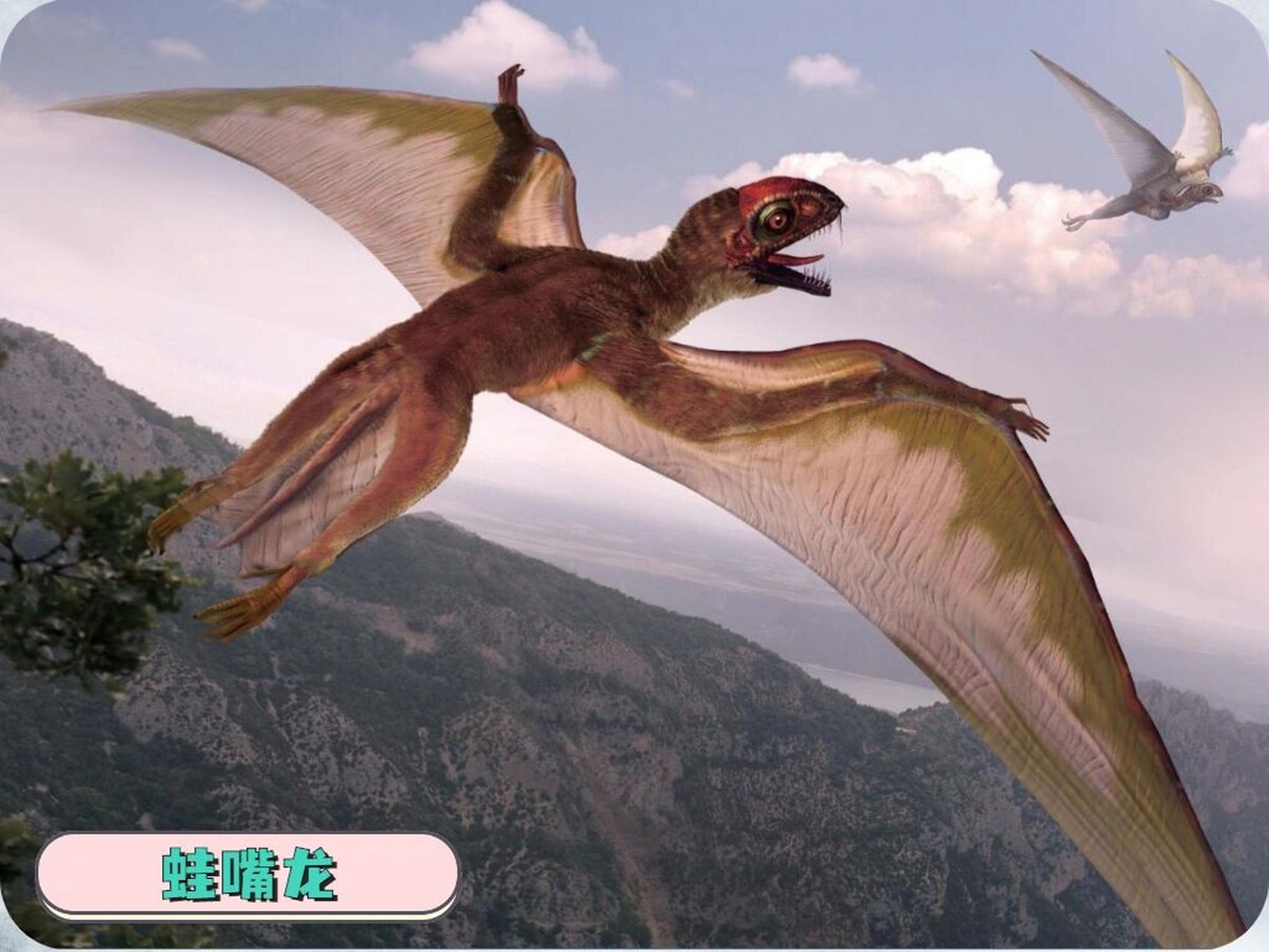 97宝藏知识97重返恐龙时代6015建议收藏 恐龙时代的天空中飞