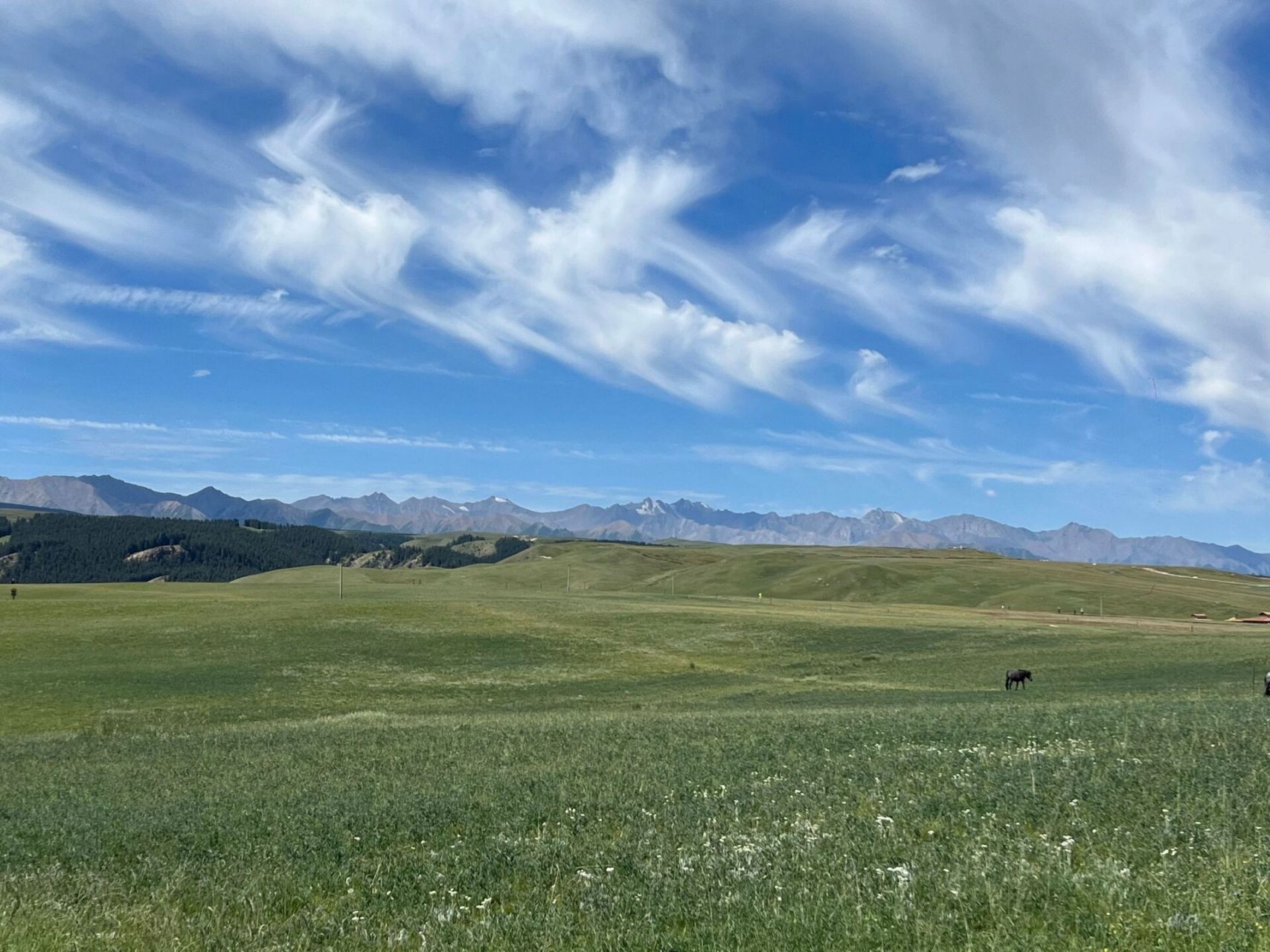 张掖之【康乐草原】 康乐草原是【个人】喜好第二的.