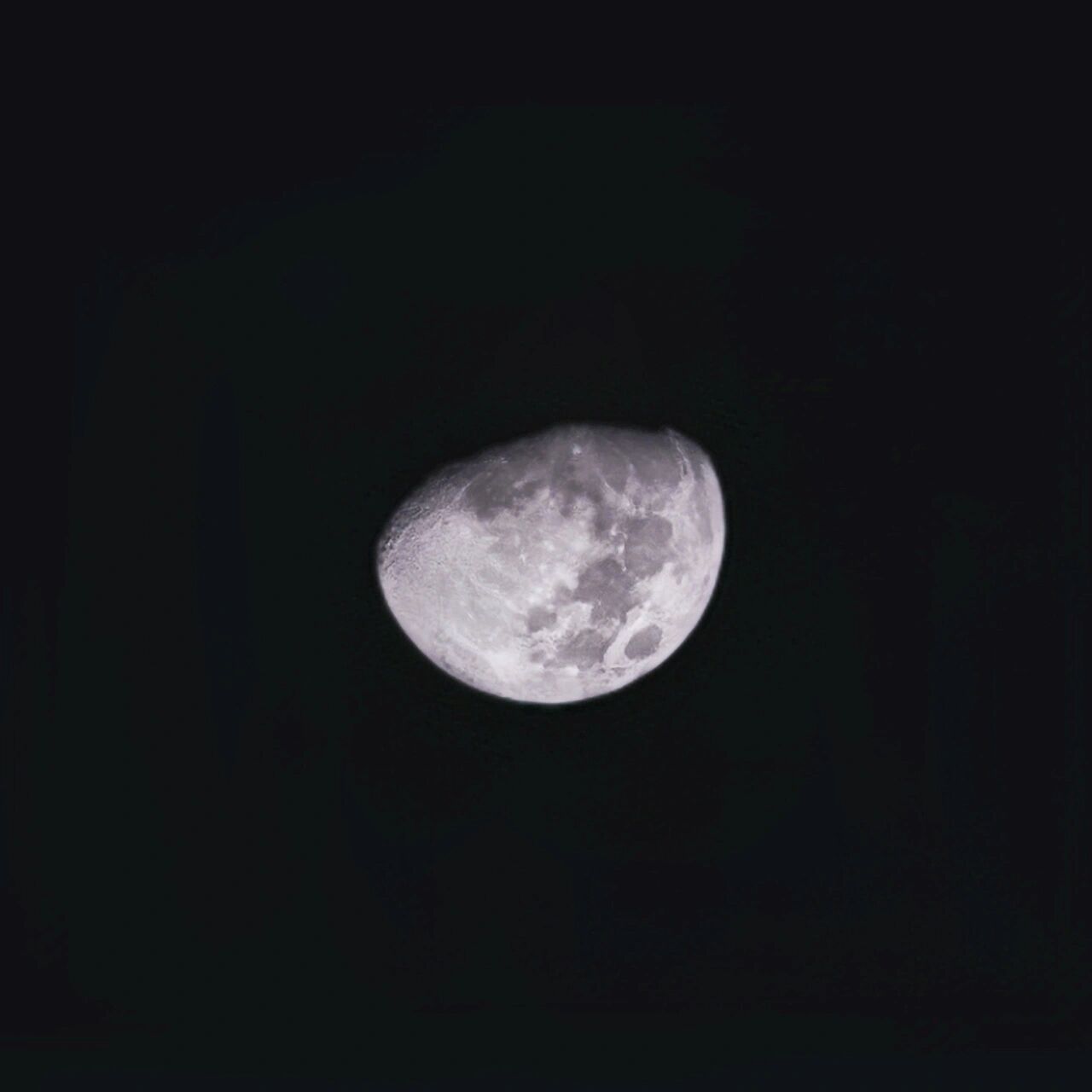 初十三的月亮图片图片
