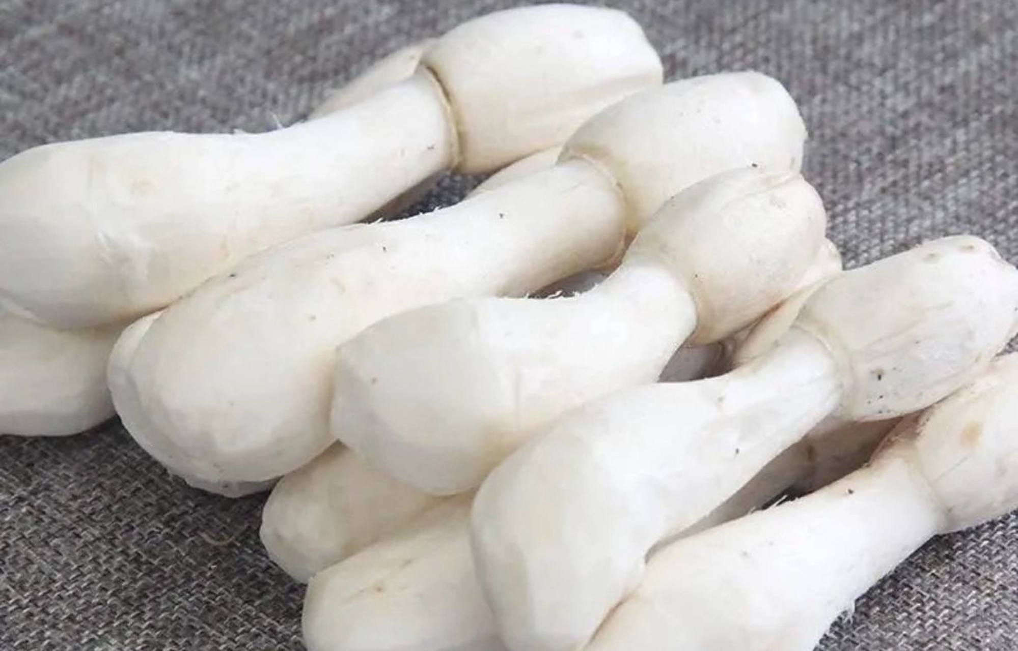 武陵山珍|杏鲍菇 鸡腿菇别再傻傻分不清楚了 杏鲍菇菌肉肥厚,口感鲜嫩