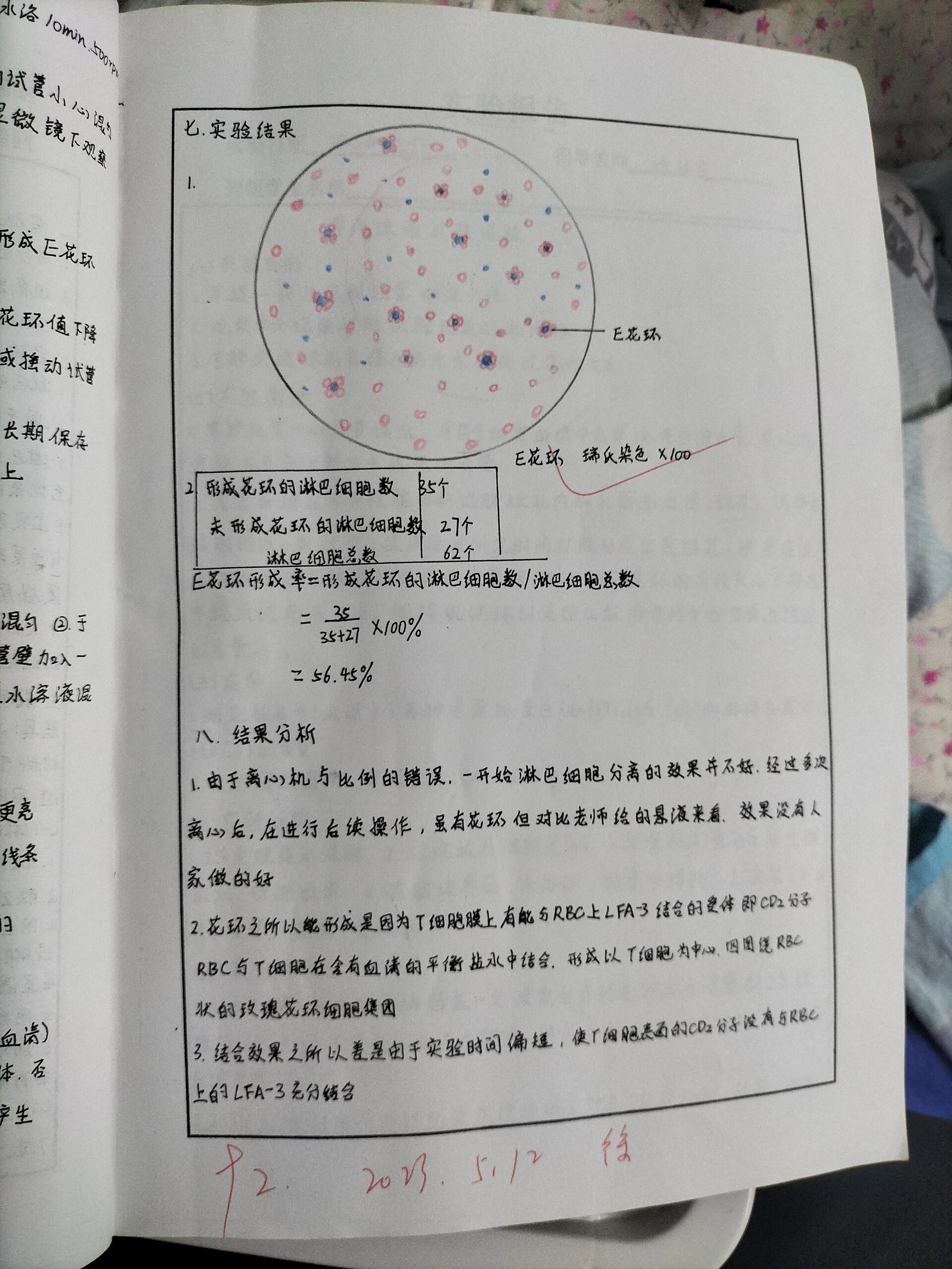 e花环实验图图片