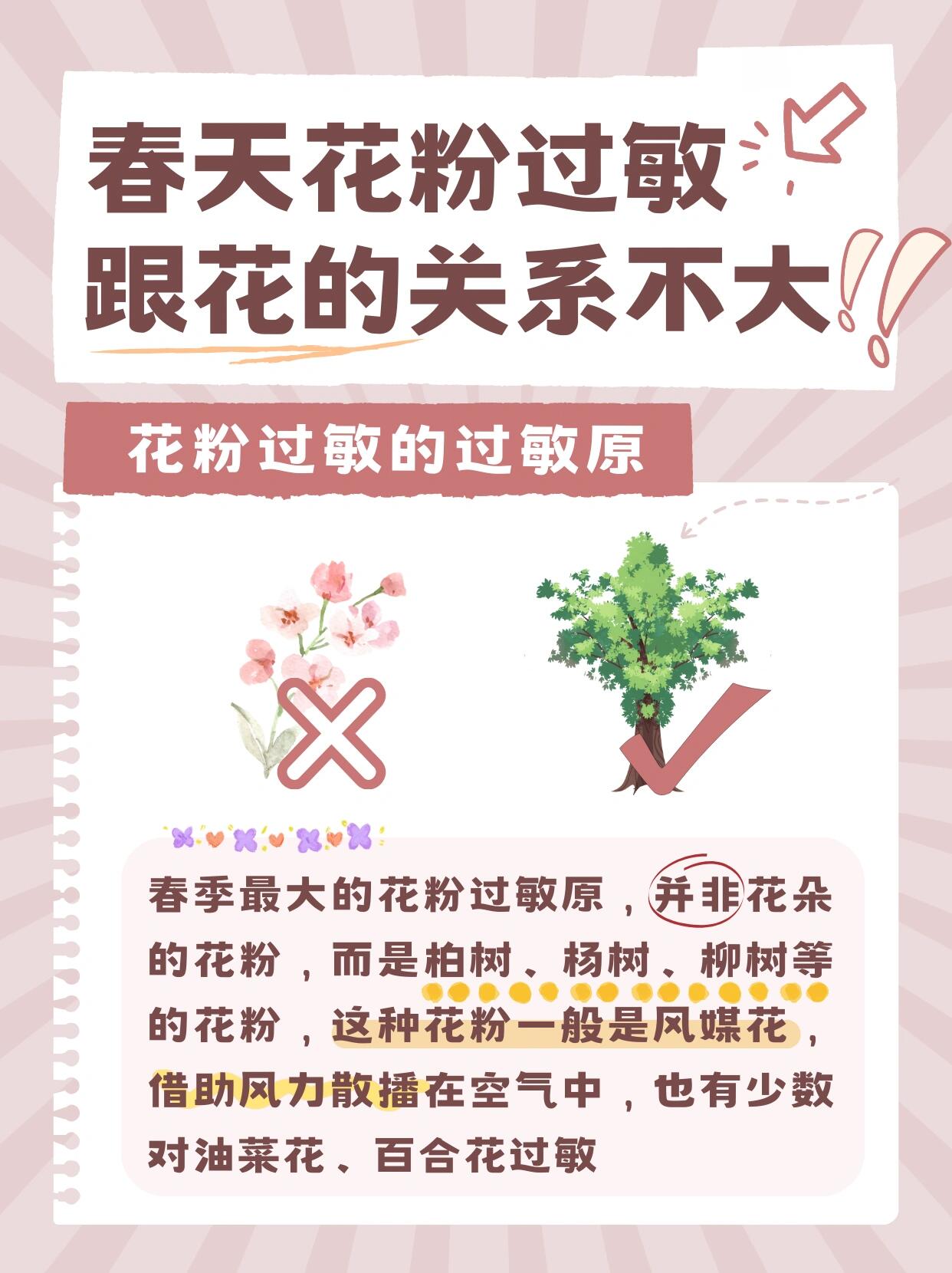 杨树过敏症状图片大全图片