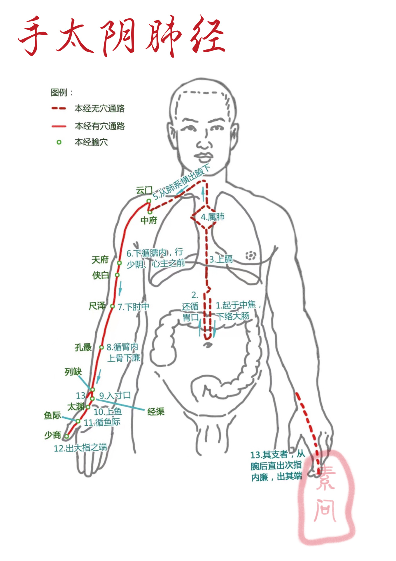 手臂经络图示意图图片