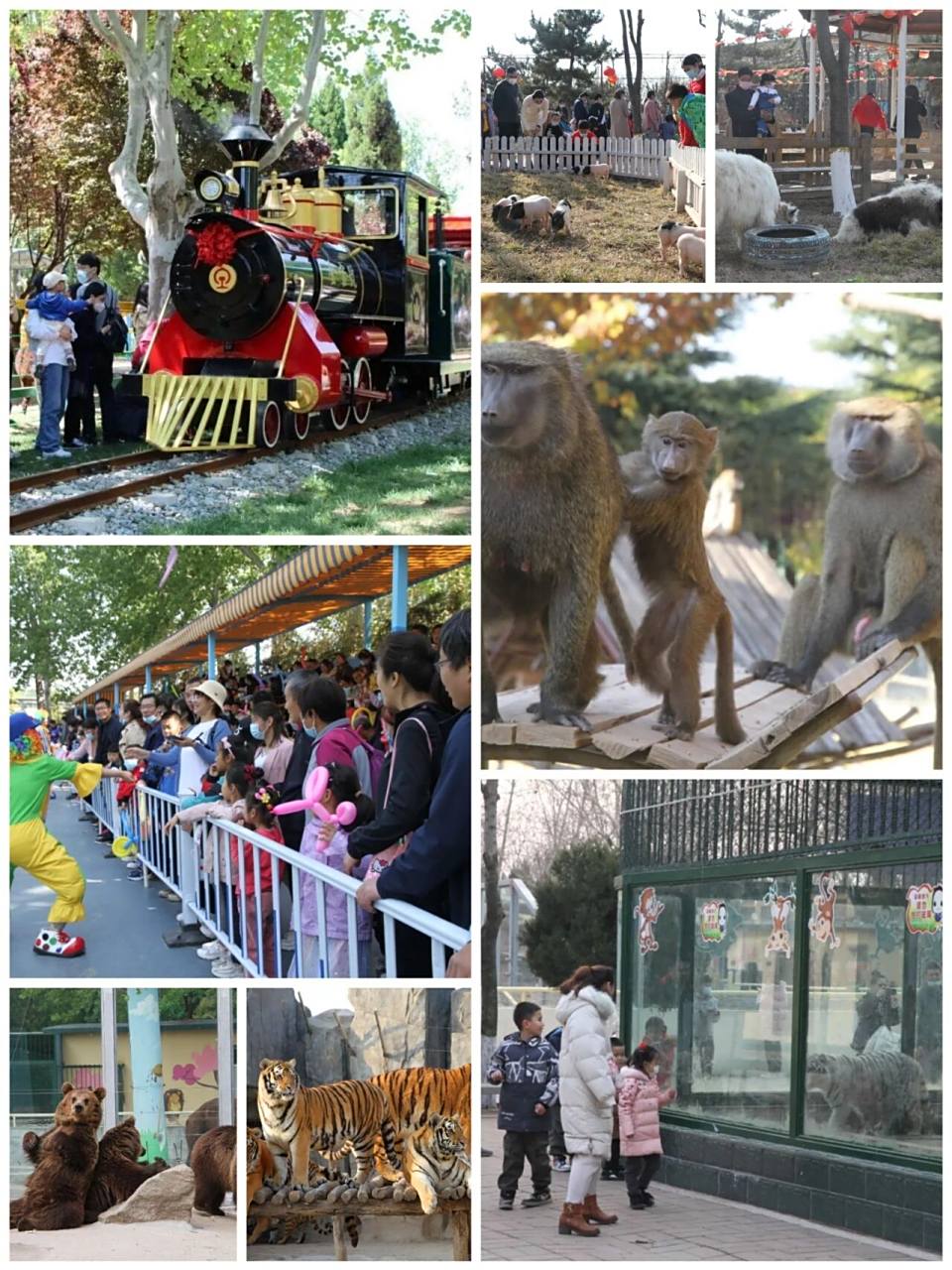 20号(平日周末节假日通用) 门票包含: ·78金宝乐园入园门票一张