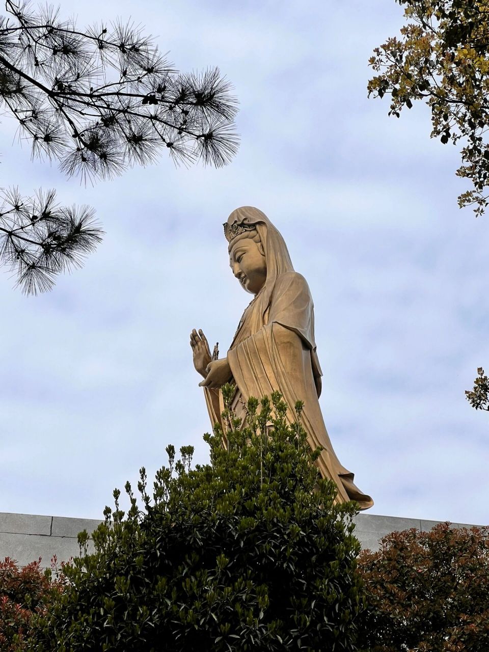 普陀山真实图片美景图片