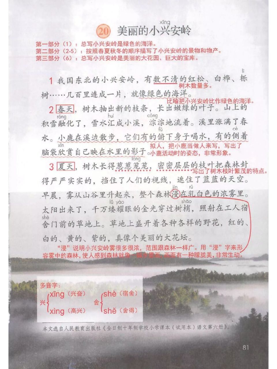 三上第20课《美丽的小兴安岭》课堂笔记 #小学语文课堂笔记# #小学