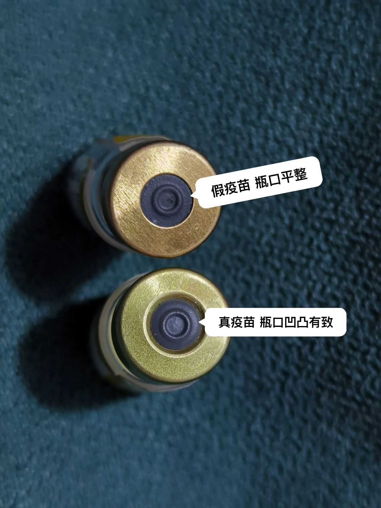 建议收藏6015英特威疫苗真假辨别