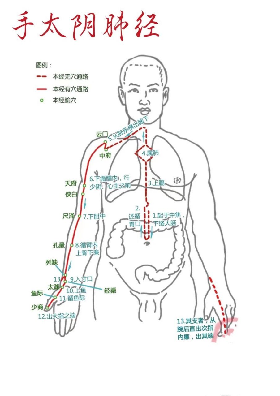 女性手臂经络图高清图片