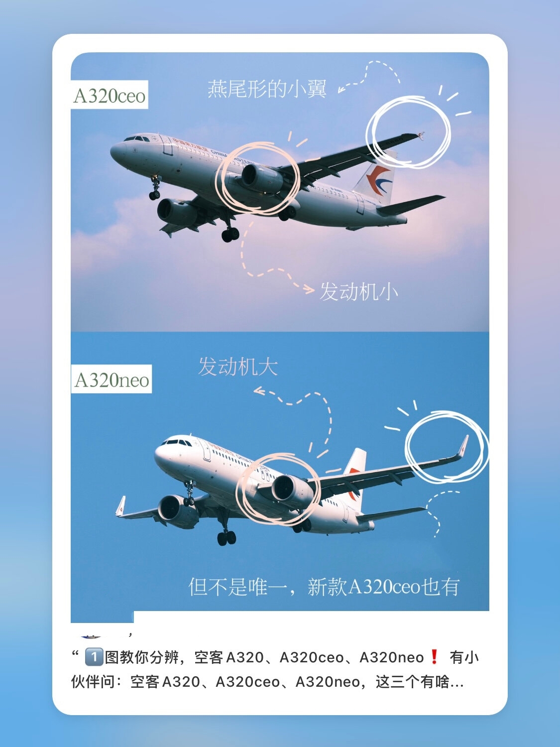 空客319和320的区别图片