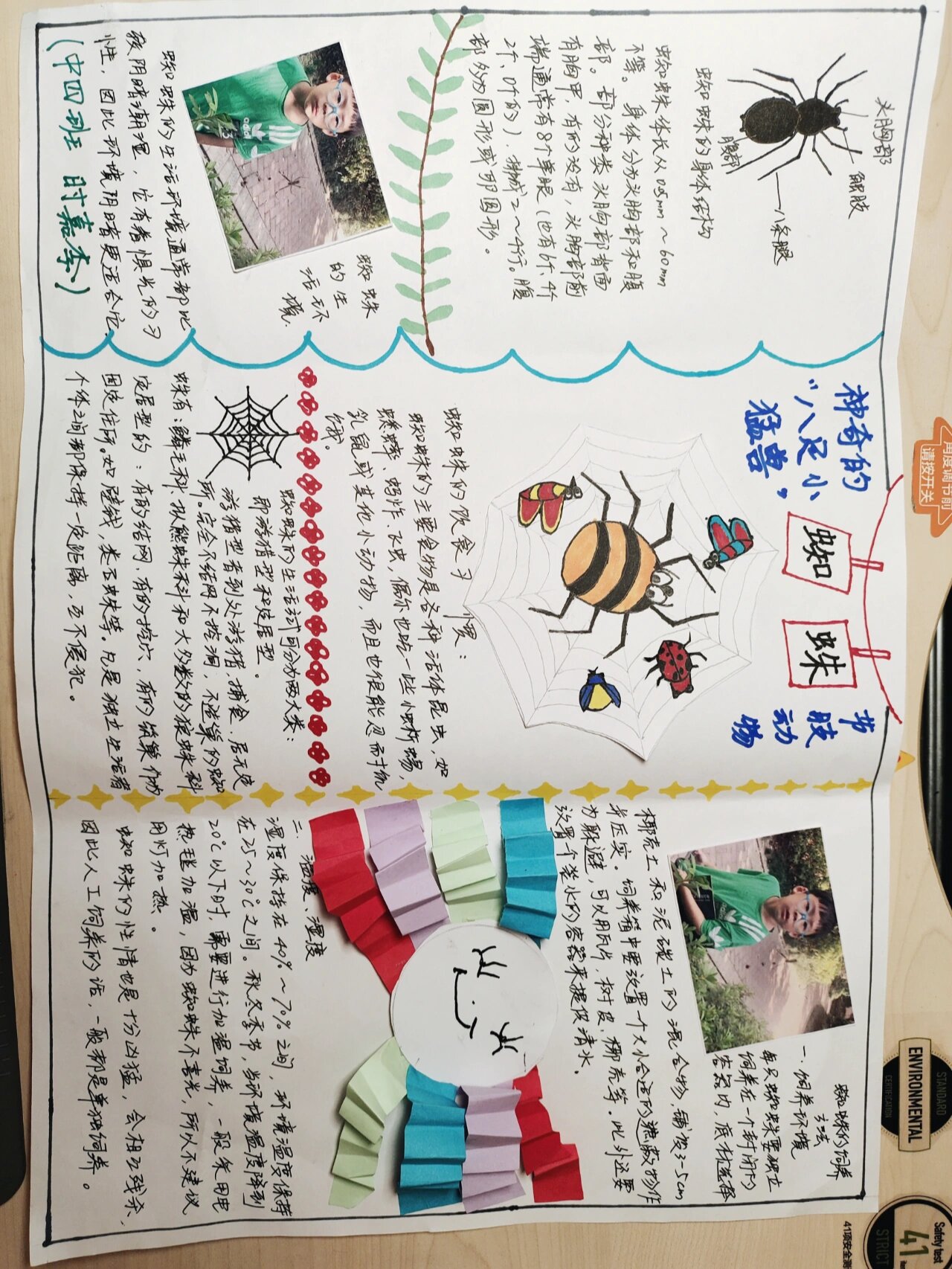 蜘蛛手抄报,貌似有点重口味