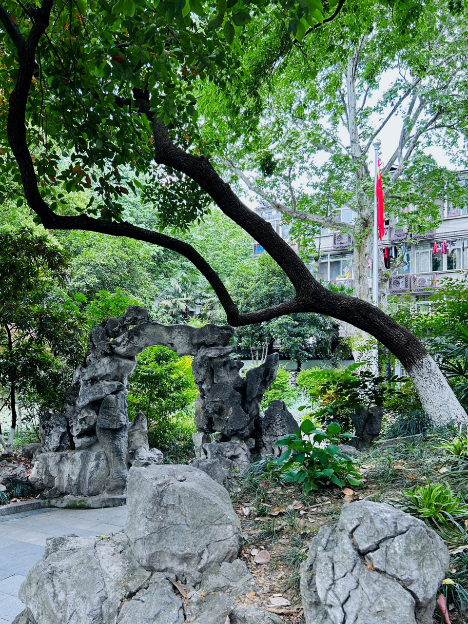 杭州|小营巷,竟有这样的红色过去 杭州小营巷是一条历史悠久的小巷