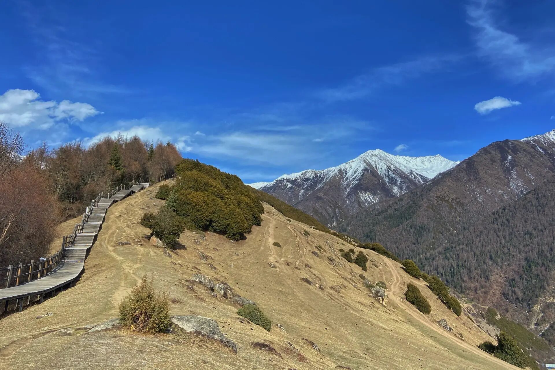 四姑娘山海子沟攻略-超美景区徒步路线 门票:60元游览方式:全程徒步