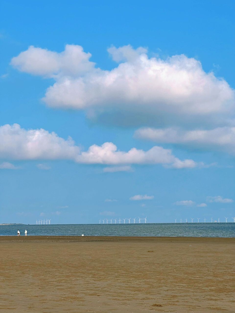 珠海这个沙滩太适合赶海,看日落月升啦7515 在珠海金湾横石基沙滩