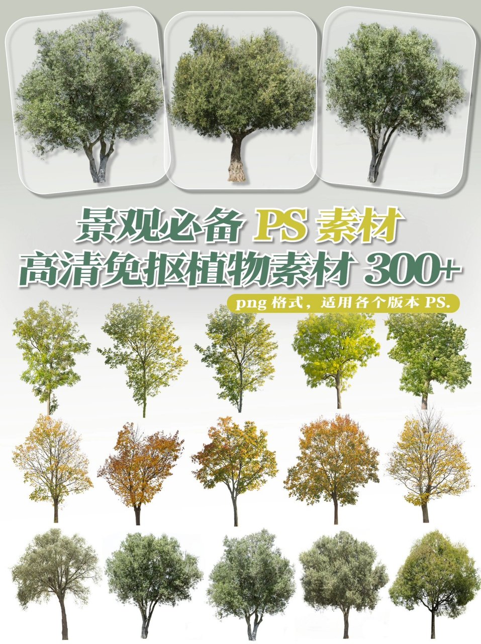 景观必备ps植物立面素材 素材免抠图,直接使用,多种乔木灌木,适合景观