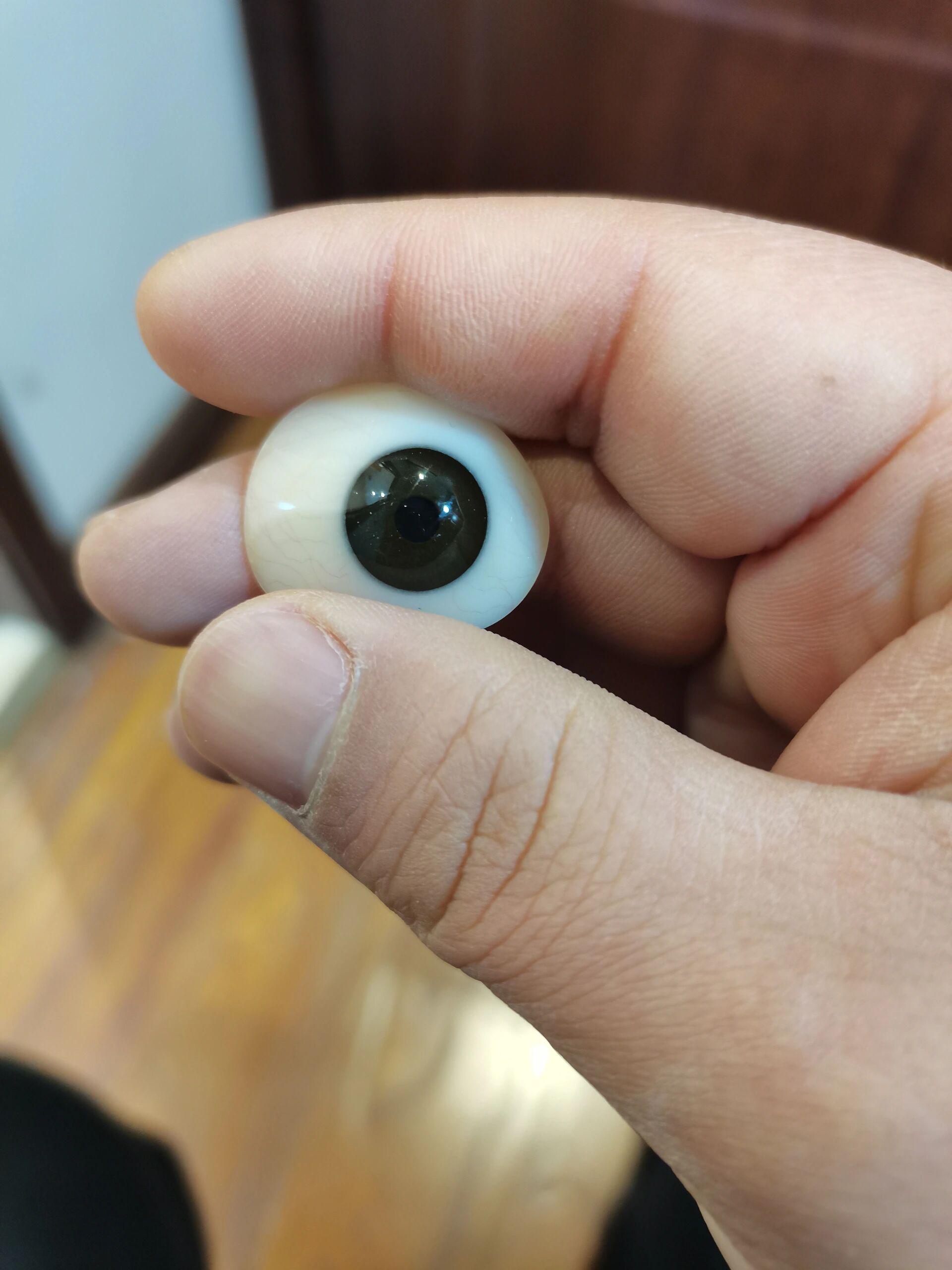 义眼片定制,全国连锁选圆目