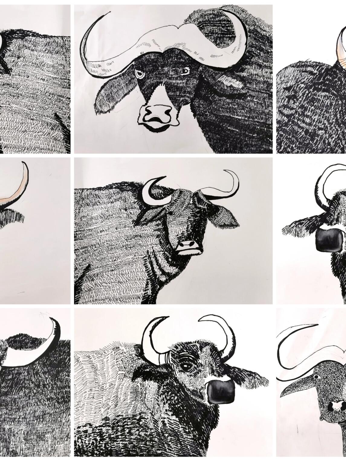 三年级线描水牛