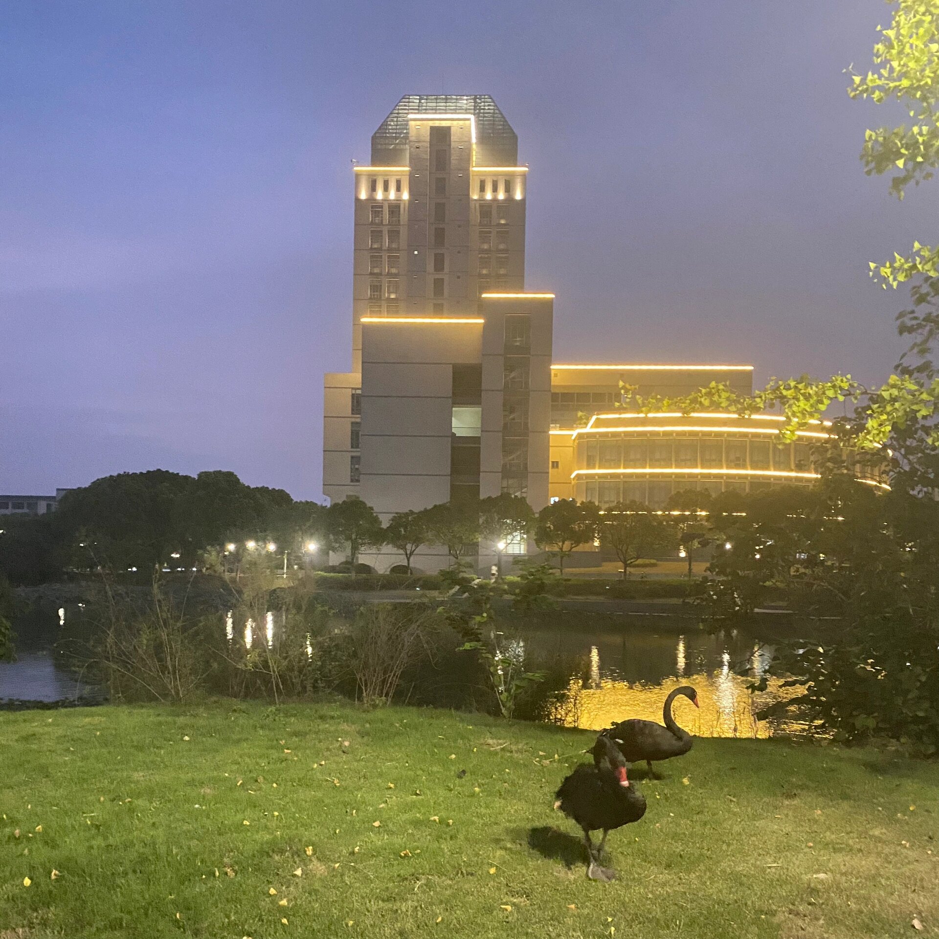 藏在风景区中的大学|江南大学