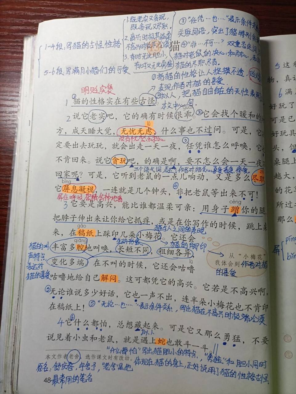 第十三课 猫#四年级语文下册课堂笔记# #四年级语文下册# #四年级下册