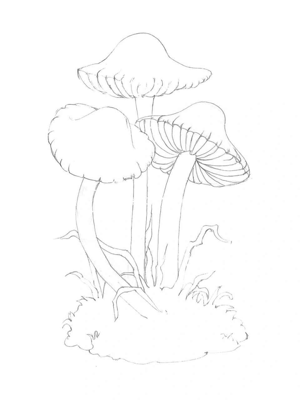 鲁美设计|黑白装饰画|蘑菇|内附步骤 鲁迅美术学院设计基础,黑白装饰