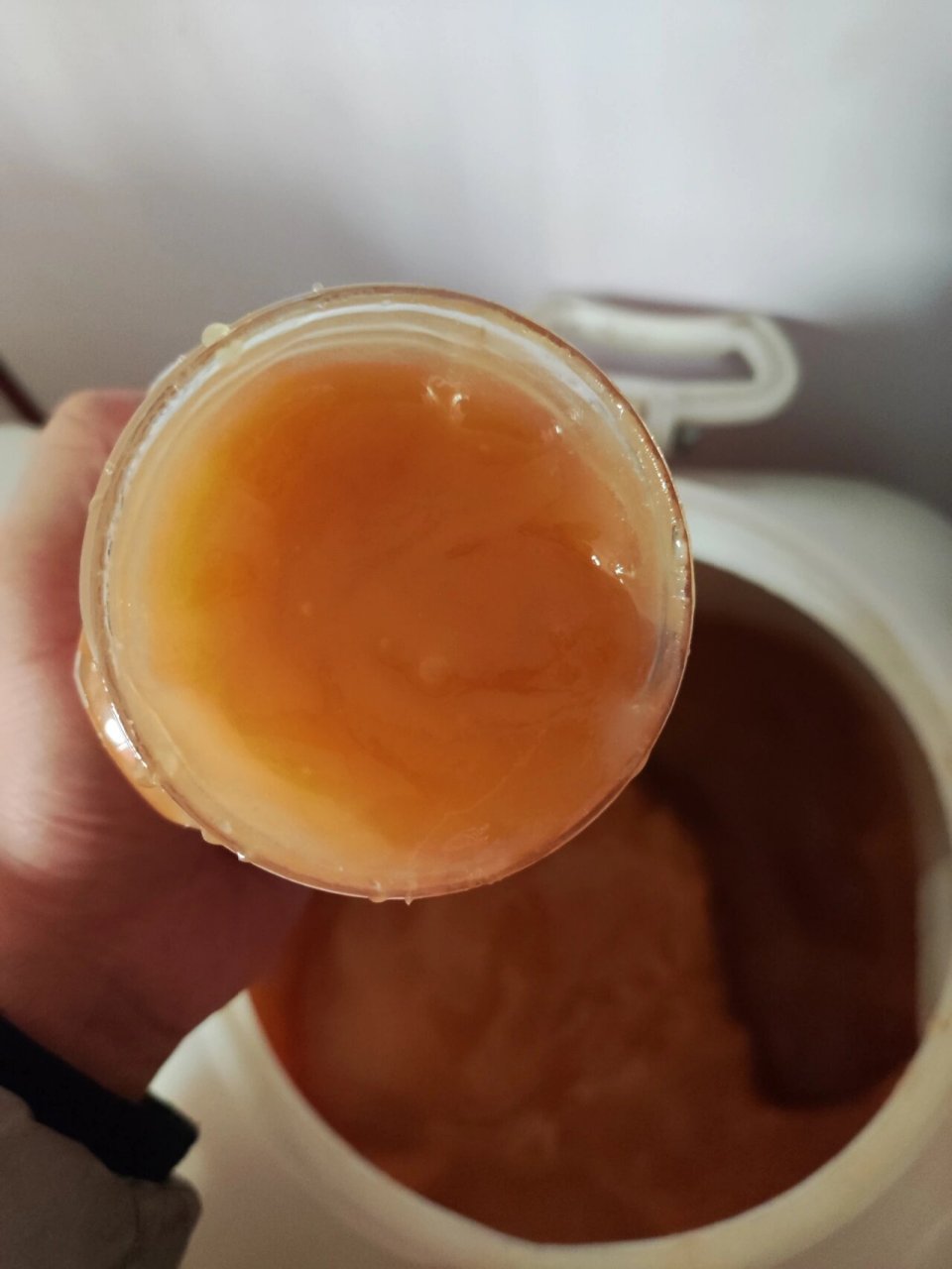 蜂蜜放时间长了之后有像白糖一样结晶(蜂蜜放时间长了之后有像白糖一样结晶是掺假了吗)