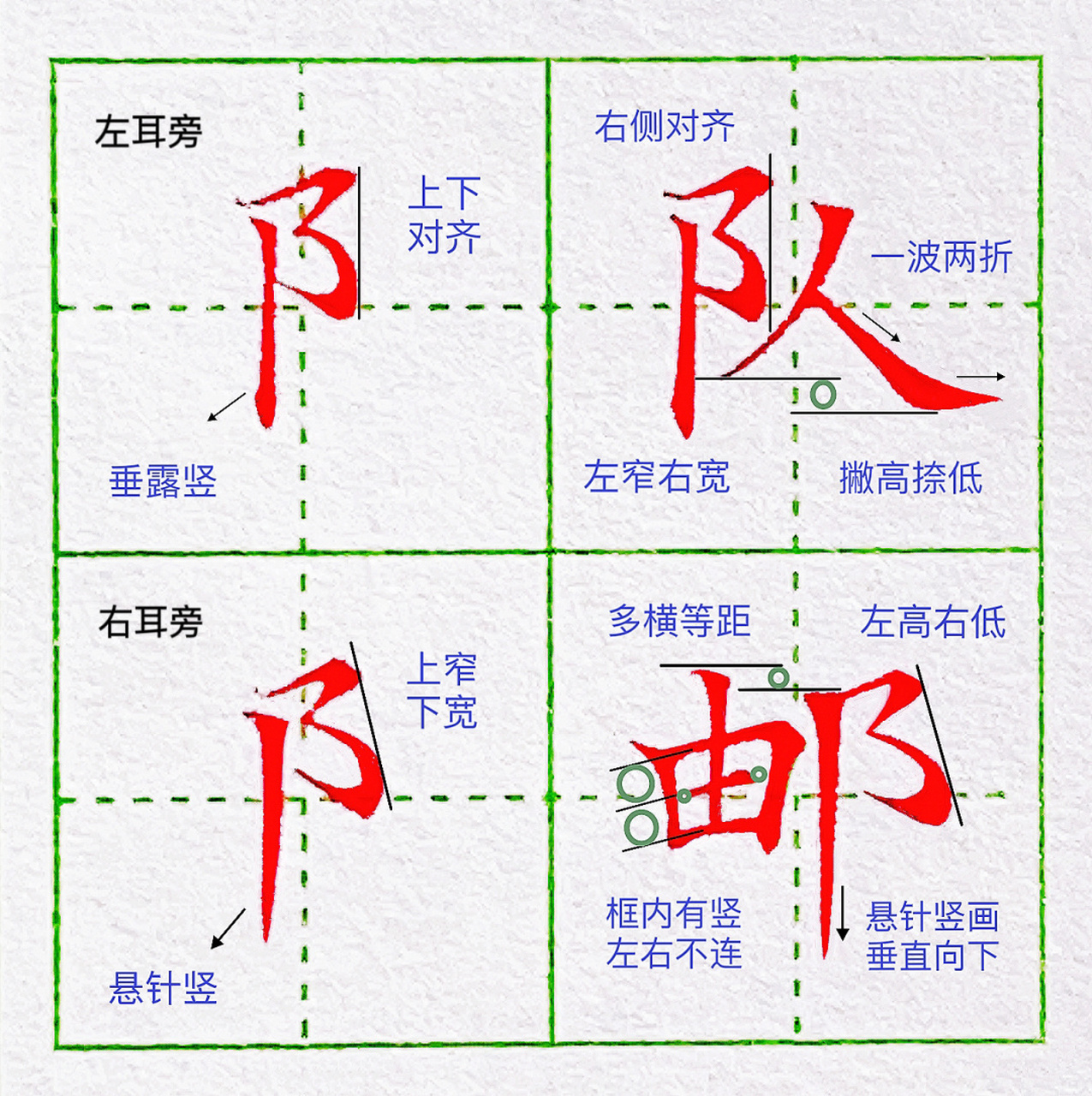 1.左耳旁:右侧要对齐给右半部分腾出空间来,竖画是垂露竖.