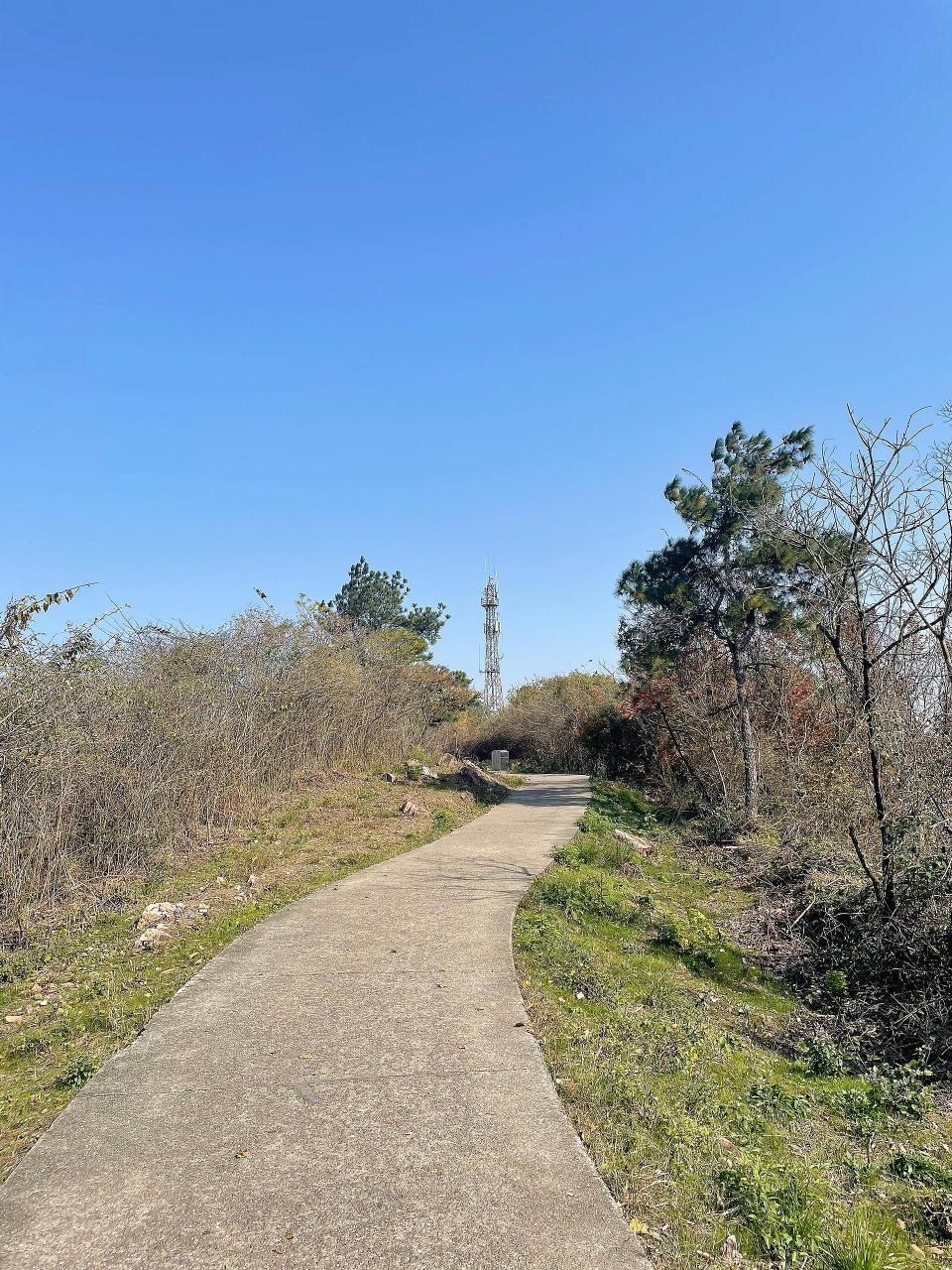 江夏八分山地图图片